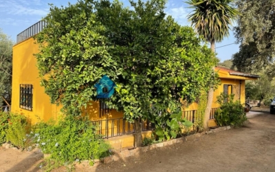 Chalet + Parcela «La Mata» – Carretera Encinasola (Oliva de la Frontera).