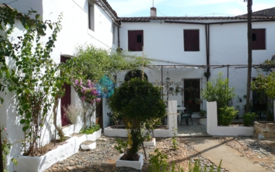 Vivienda Señorial en Calle Nueva (Higuera de Vargas)
